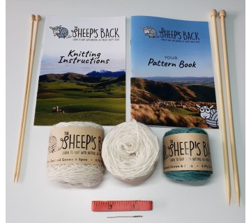 Learn to Knit Kit - Go Ewe!