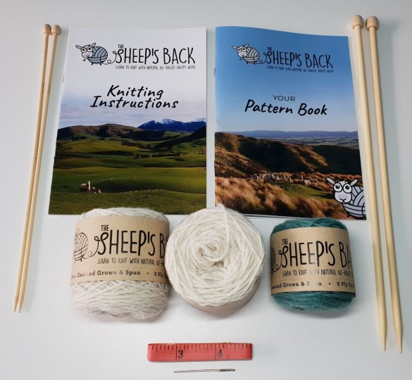 Learn to Knit Kit - Go Ewe!