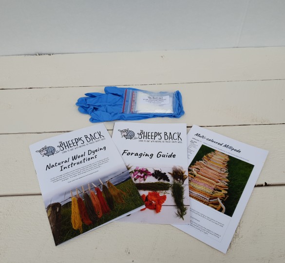 Natural Dye Kit